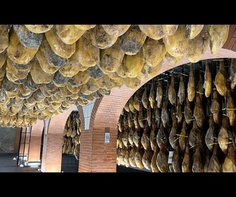 Replay Les secrets du Pata Negra : le jambon 100 % ibérique nourri au gland part à la conquête du monde