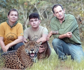 Replay Sous l'oeil des chercheurs - Brésil, sur la piste des jaguars