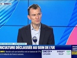 Replay Le monde qui bouge - L'Interview : Agriculture, 32e édition du rapport Déméter - 19/02