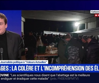 Replay BFM Grand Soir - Abattages : la colère et l'incompréhension des éleveurs - 12/12