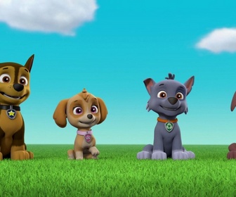 Replay Paw Patrol, la Pat'Patrouille - La Bibliomobile