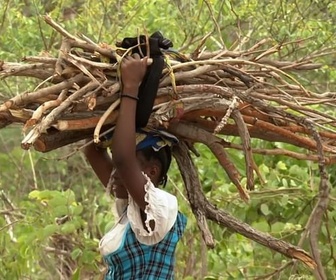 Replay ARTE Journal - Tchad : la dure vie des réfugiés privés d'aide humanitaire