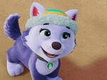 Replay Paw Patrol, la Pat'Patrouille - Les surfeurs des montagnes