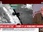 Replay 60 minutes Fauvelle