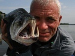 Replay River monsters - S3E1 - Traira géant