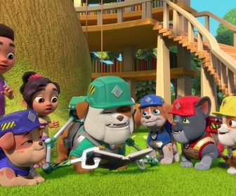 Replay Ruben & cie - La bibliothèque-salon de thé