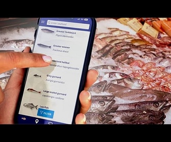 Replay Scanner avant d'acheter : deux nouvelles applications veulent transformer l'achat de poisson