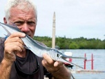 Replay River monsters - S9E3 - Le tueur des coraux