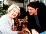 Replay Rex, chien flic - 19/08/2026