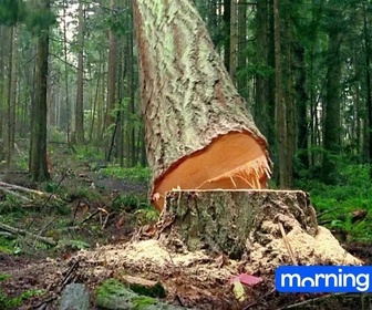 Replay Quotidien troisième partie du 6 novembre 2025