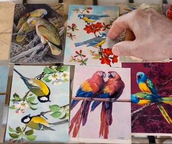 Replay Langue des oiseaux