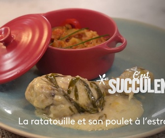 Replay C'est Succulent ! - Ratatouille et poulet à l'estragon