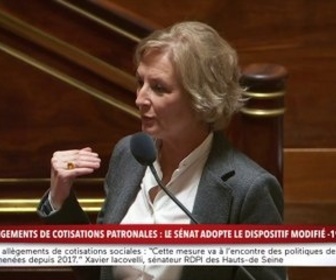 Replay 100% Sénat - Allègements de cotisations patronales : le Sénat adopte le dispositif modifié