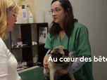 Replay La France en vrai - Au coeur des bêtes