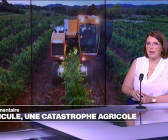 Replay Élément Terre, la quotidienne - Canicule: une catastrophe agricole
