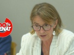 Replay 100% Sénat - Violences dans le périscolaire : quelle réponse des maires ?