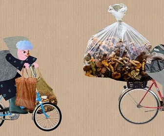 Replay Karambolage Polska - la cueillette des champignons : le sport national en Pologne