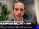 Replay 20H BFM - Propos polémiques de François Bayrou sur l'immigration: On ne combat pas l'extrême droite en utilisant ses mots réagit Pierre Jouvet, secrétaire général du PS