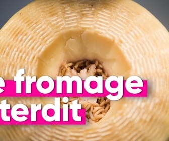 Replay Top Info - Connaissez-vous le Casu Marzu : le fromage le plus dangereux du monde ?