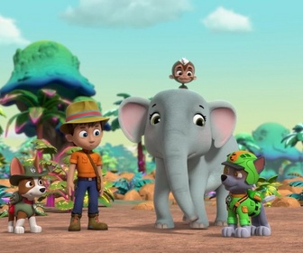 Replay Paw Patrol, la Pat'Patrouille - Mission Jungle : Les fourmis géantes