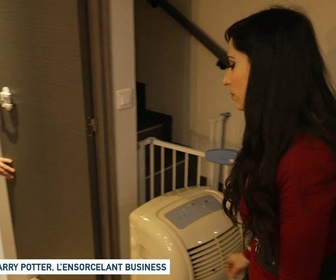 Replay Un jour, un doc - Harry Potter, l'ensorcelant business