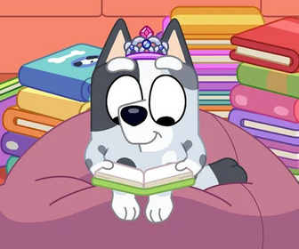 Replay Bluey - 22/05/2026