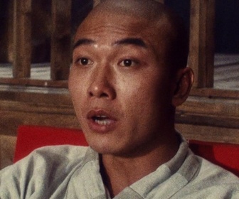 Replay Tai Chi Master