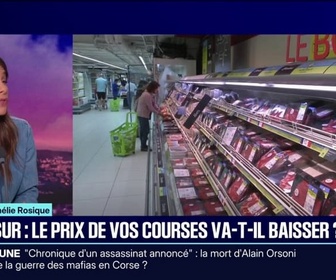 Replay 20H BFM - LE CHOIX D'AMÉLIE ROSIQUE - Mercosur: le prix des courses va-t-il baisser?