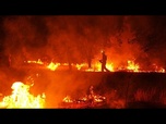 Replay En Espagne, les fake news sur les feux de forêt pullulent sur les réseaux sociaux