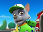 Replay Paw Patrol, la Pat'Patrouille - S01 E31 - La piscine