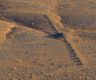 Replay Phénomènes vus de l'espace - S5E18 - Le tombeau perdu de Genghis Khan