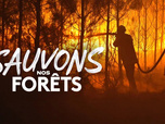 Replay Sauvons nos forêts - 15/09/2026