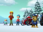 Replay Paw Patrol, la Pat'Patrouille - Danny et l'ours