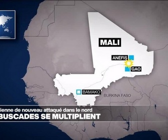Replay Journal de l'Afrique - Mali : nouvelle attaque contre l'armée et les mercenaires russes dans le nord