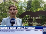 Replay Good Morning Business - Morning Retail : Chanel met le bois de santal à l'honneur, par Eva Jacquot - 23/05