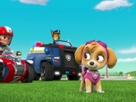 Replay Paw Patrol, la Pat'Patrouille - La Kermesse de la Grande Vallée