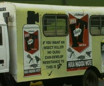 Replay Découverte du Monde - Pyrèthre, chrysanthème insecticide