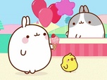 Replay Molang - La compétition
