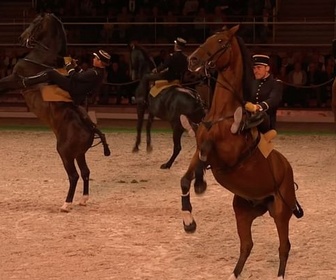 Replay Saumur : les 200 ans du Cadre noir