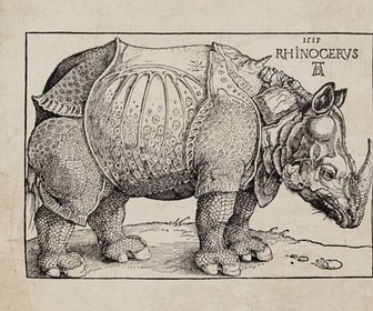 Replay Karambolage - le Rhinocéros de Dürer