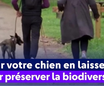 Replay On a de l'info - Tenir votre chien en laisse pour préserver la biodiversité
