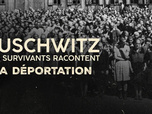 Replay Auschwitz, des survivants racontent - 25/01/2026