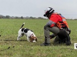 Replay Élément Terre - France : des chiens capables de détecter l'eau potable