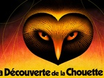 Replay La découverte de la chouette d'or