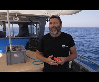 Replay La science derrière le spectaculaire rétablissement du thon rouge en Europe