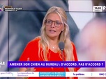 Replay Estelle Midi - Amener son chien au bureau : pour ou contre ?