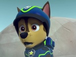 Replay Paw Patrol, la Pat'Patrouille - Les mésanges charbonnières
