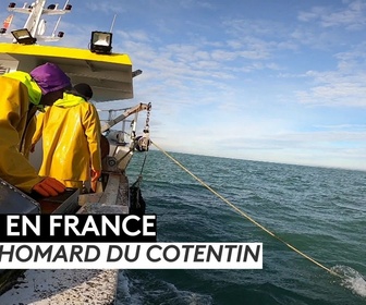 Replay ICI en France - Le homard du Cotentin