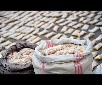 Replay Europol annonce une opération sans précédent dans la lutte contre le trafic de drogues de synthèse