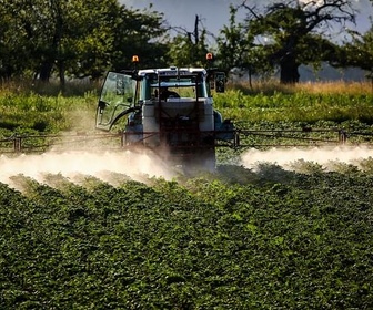 Replay 28 Minutes - La mauvaise herbe qui résiste au glyphosate